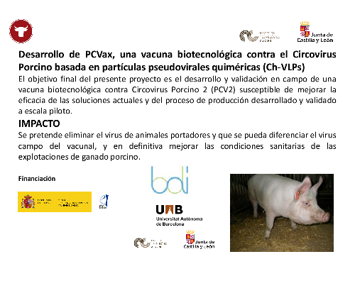 Desarrollo de PCVax, una vacuna biotecnológica contra el Circovirus Porcino basada en partículas pseudovirales quiméricas (Ch-VLPs)
